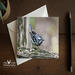 A 5 x 7 nature photography blank folding greeting card with nature photography of a black and white warber at Cove Creek Photography.